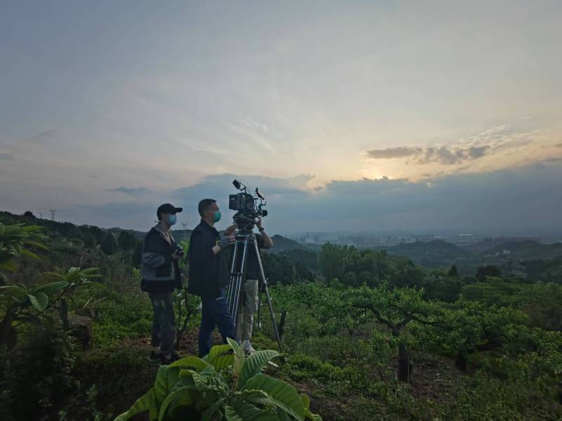创意破圈！西安区电商产品宣传视频用故事化叙事引爆流量
