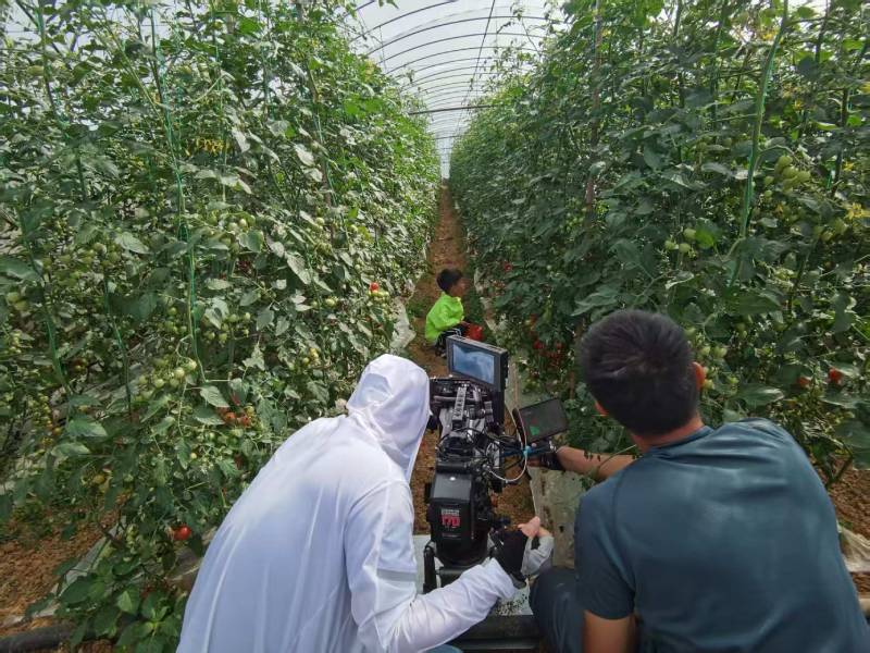 西安区产品宣传视频拍摄公司进阶指南，助力品牌抢占传播高地